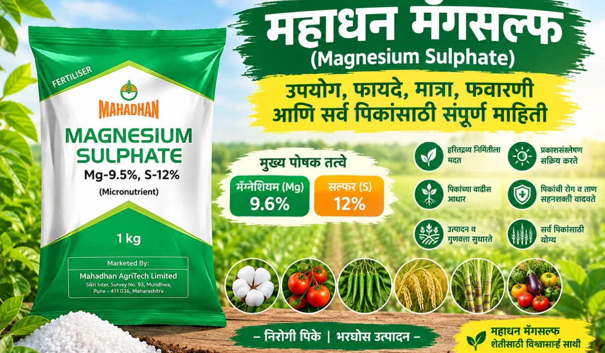 Mahadhan Magsulf