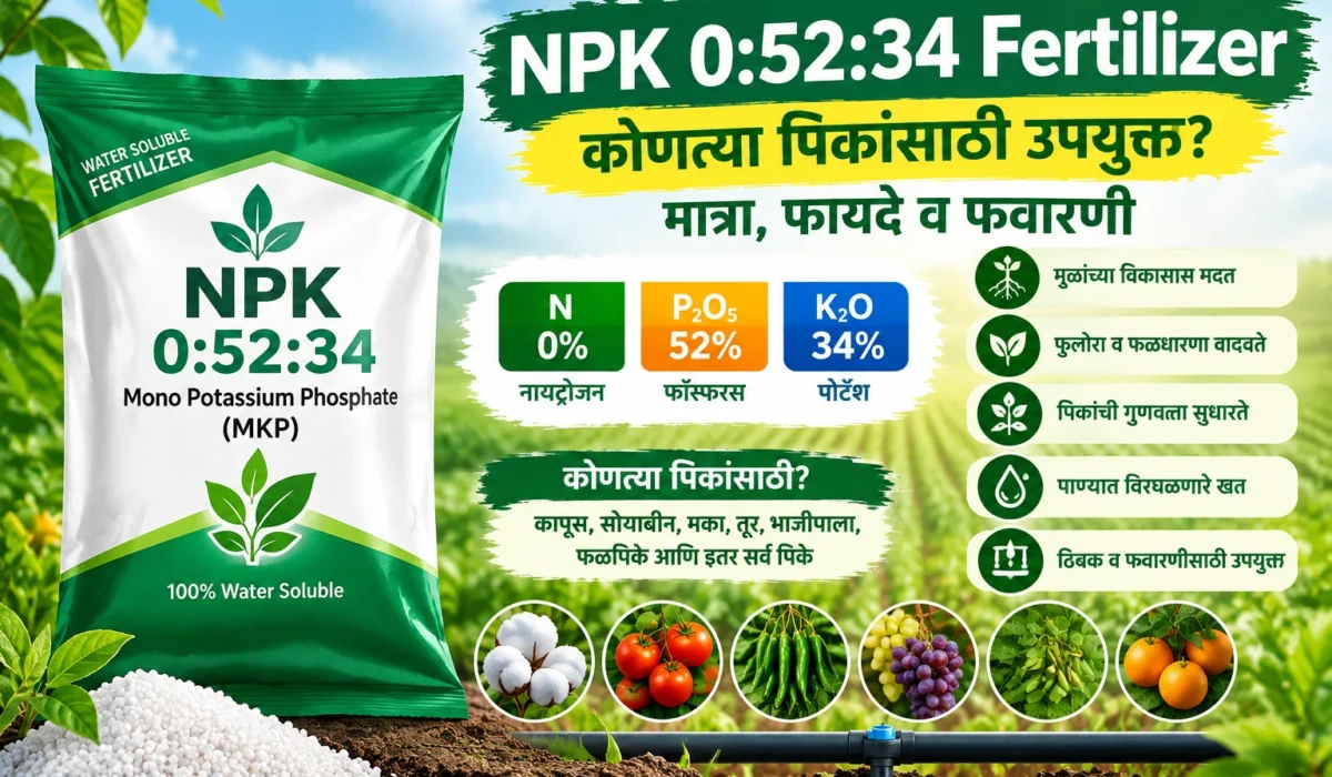 NPK 0:52:34 Fertilizer