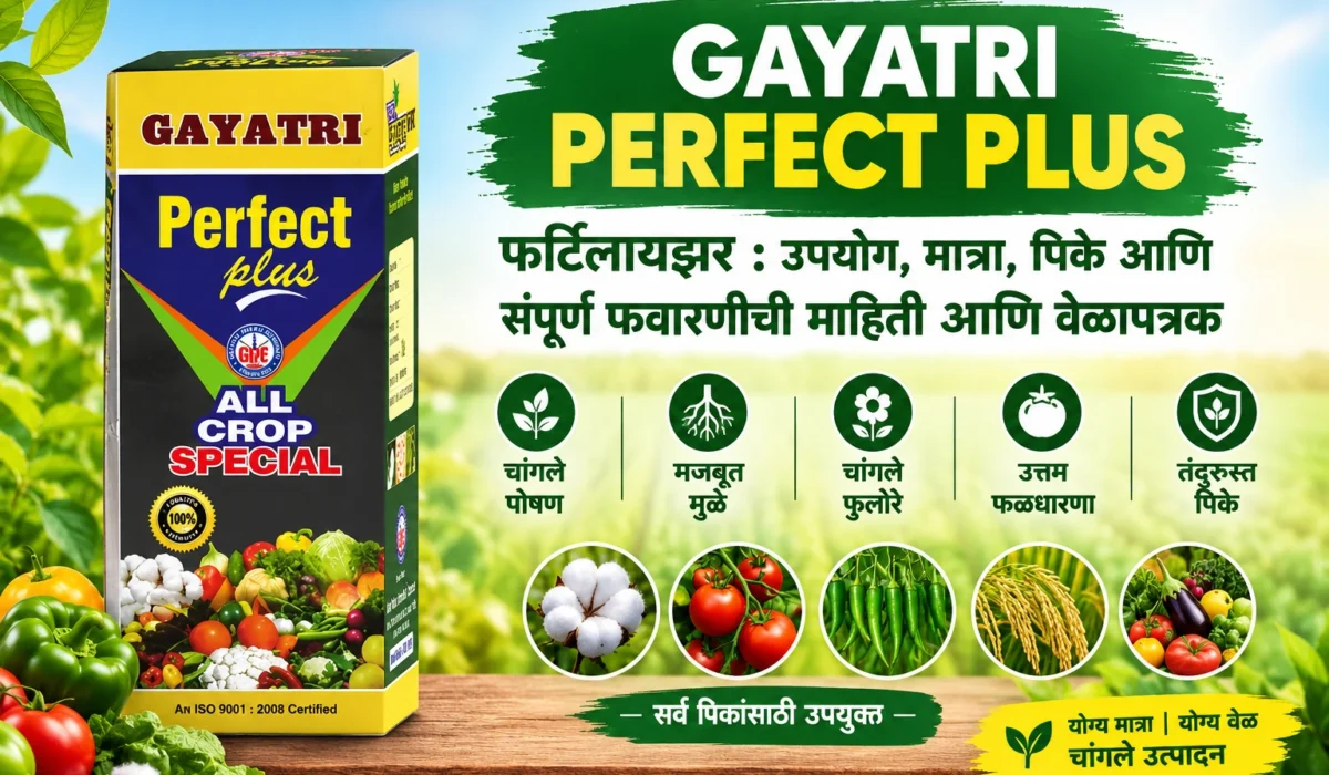 Gayatri Perfect Plus Fertilizer