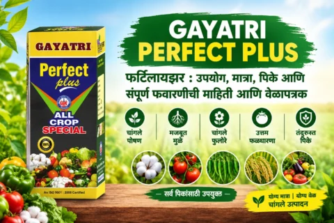 Gayatri Perfect Plus Fertilizer