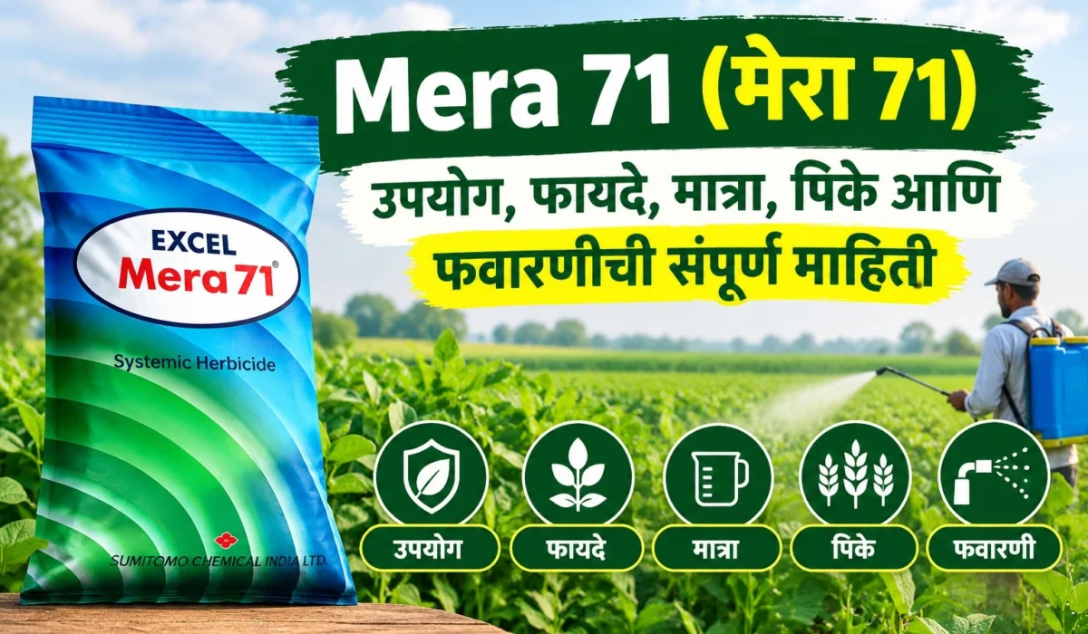 Mera 71