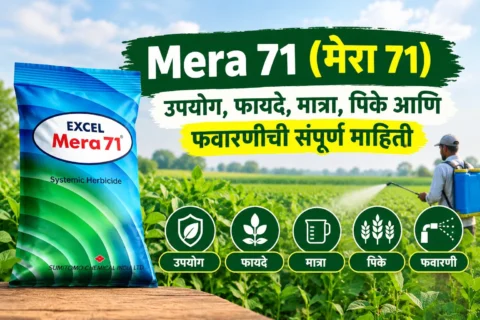 Mera 71