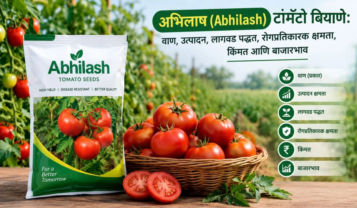 Abhilash