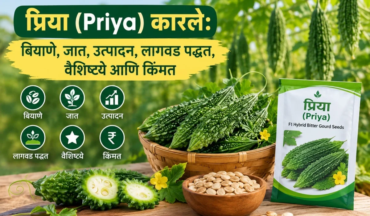 Priya