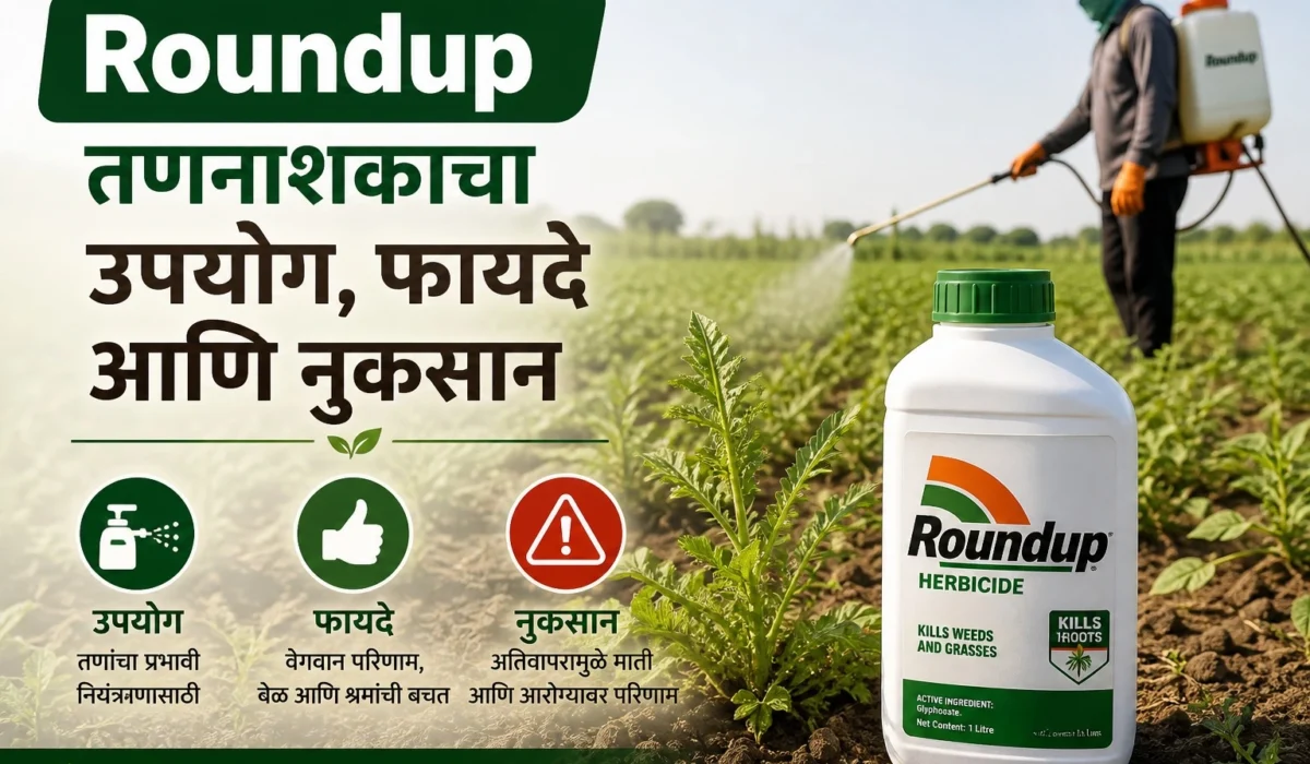 Roundup