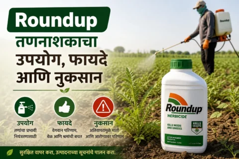 Roundup